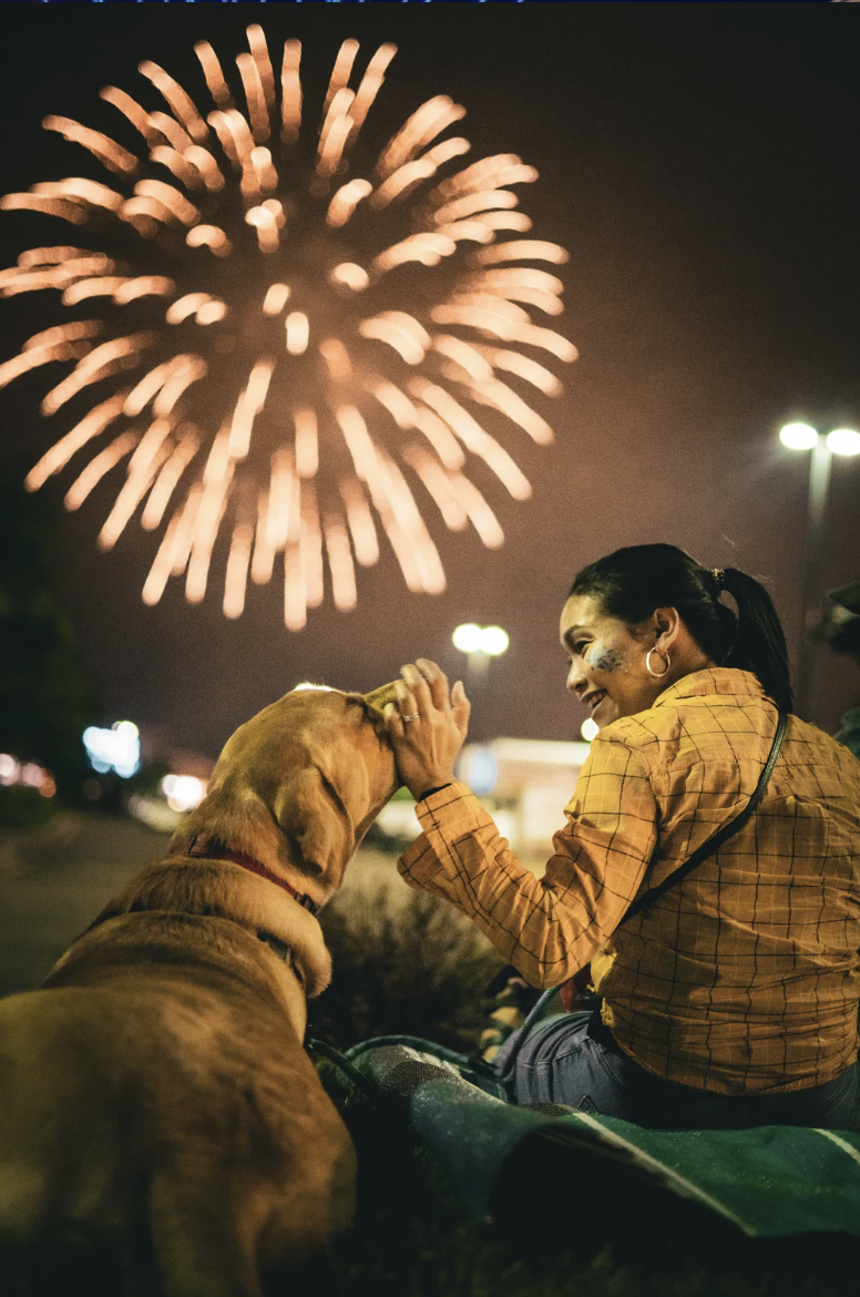 Which Dog Breeds Fear Fireworks the Most? A Study Reveals Some Surprising Answers